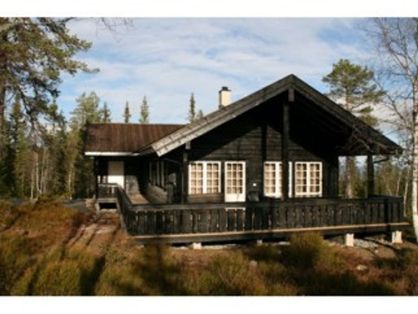 Nybygg fritidsbolig, hytte